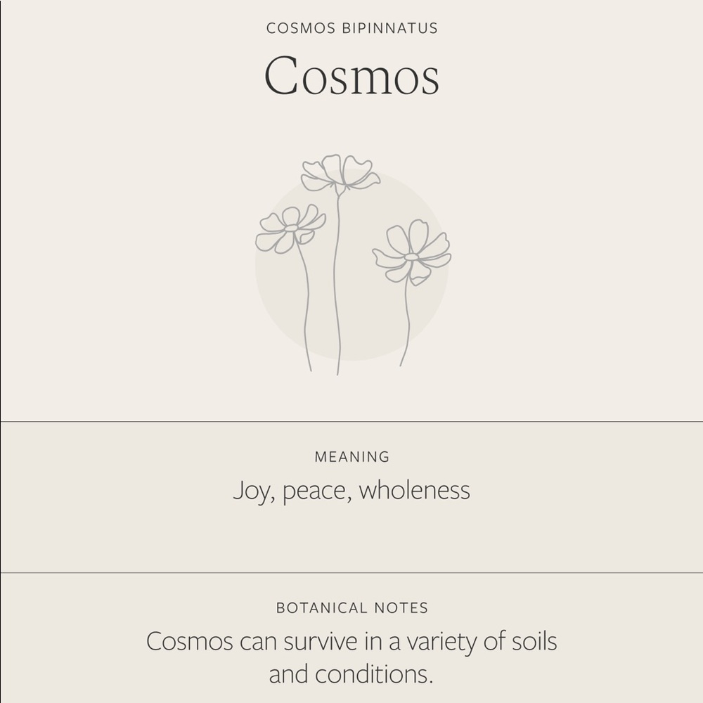 Cosmos October Birth Flower Simple Charm Necklace - Picture 4 of 15